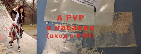дживик Корсаков
