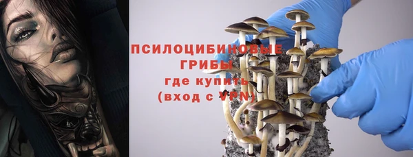 дживик Коряжма