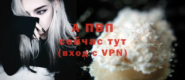 дживик Корсаков