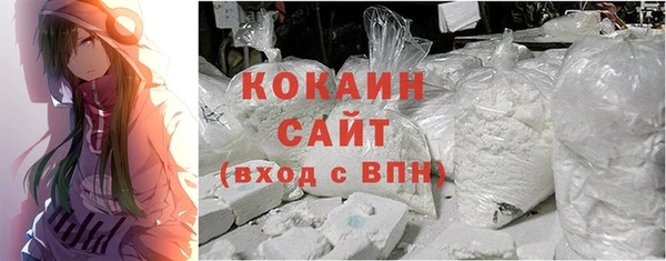 дживик Коряжма