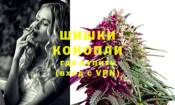 дживик Корсаков