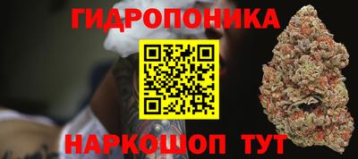 стафф Балаково