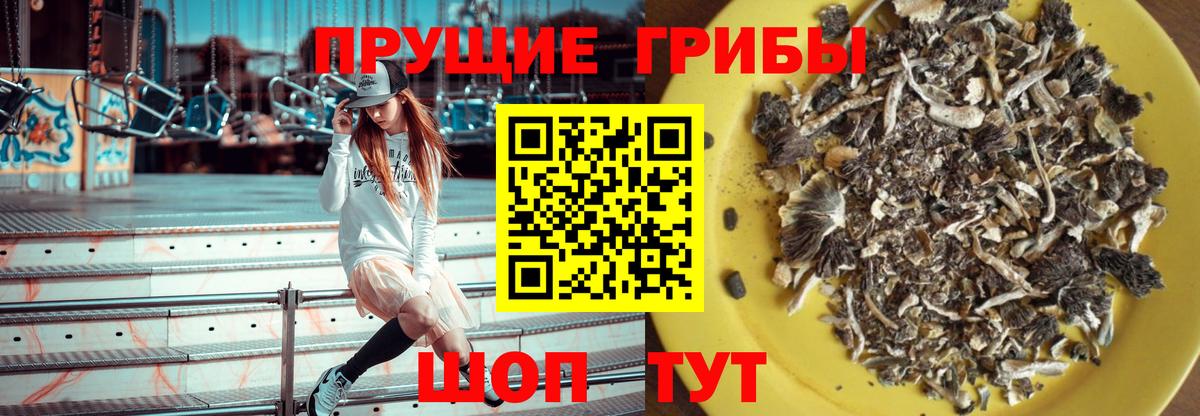 Галлюциногенные грибы мицелий Нефтекамск