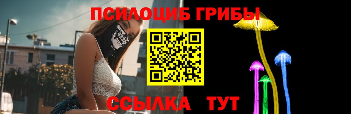 Галлюциногенные грибы Psilocybine cubensis  Вход с VPN  где купить наркоту  Нефтекамск  Псилоцибиновые грибы мицелий 