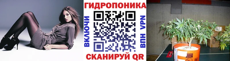 Шишки марихуана марихуана Нефтекамск